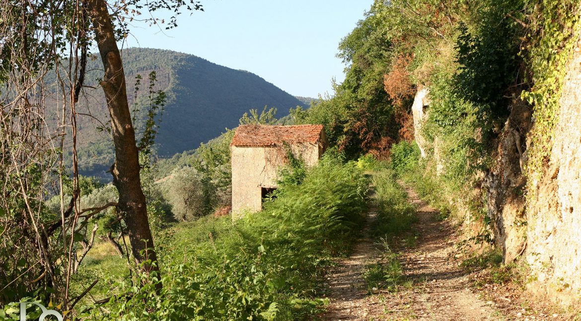 Casaletto-Vigne-Santi_001