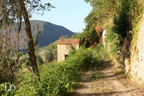 Casaletto-Vigne-Santi_001