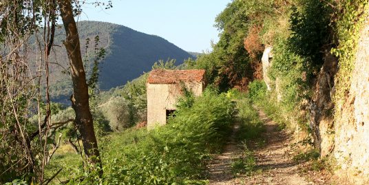 Casaletto Vigne Santi