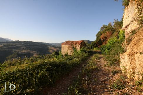 Casaletto-Vigne-Santi_002