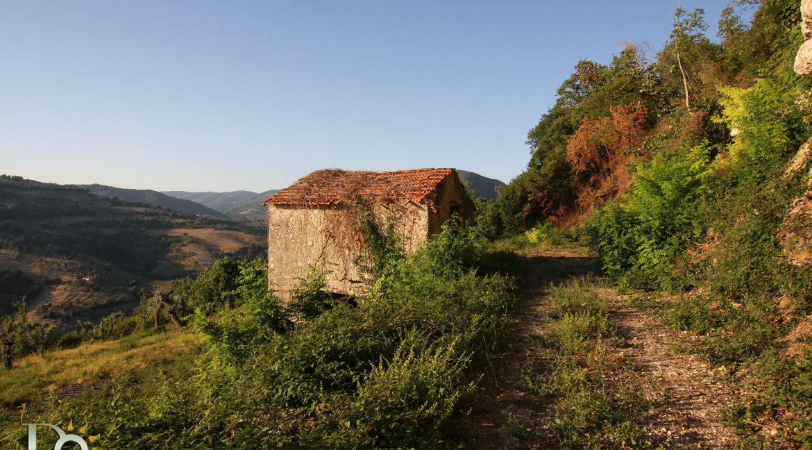 Casaletto-Vigne-Santi_003