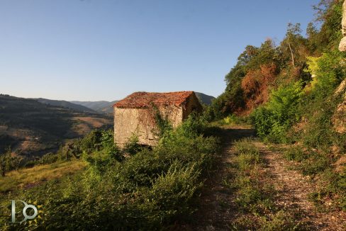 Casaletto-Vigne-Santi_003