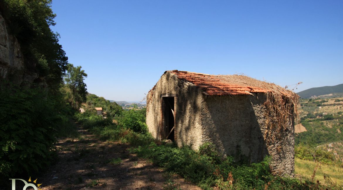 Casaletto-Vigne-Santi_006