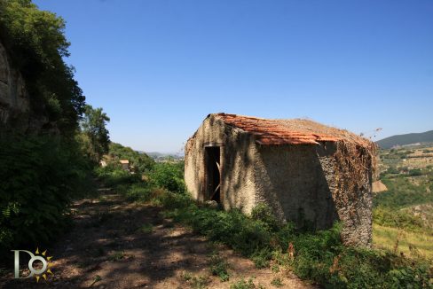 Casaletto-Vigne-Santi_006