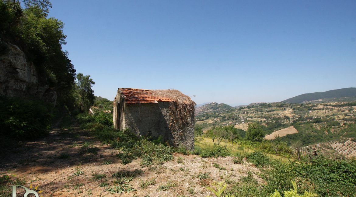 Casaletto-Vigne-Santi_007