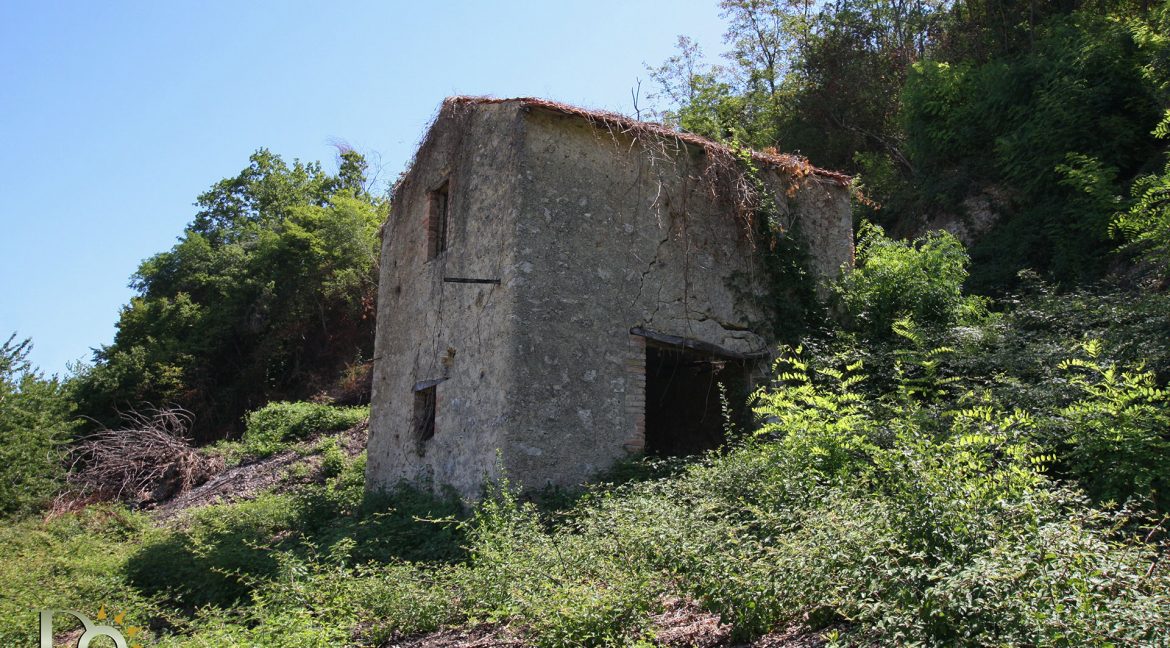 Casaletto-Vigne-Santi_009