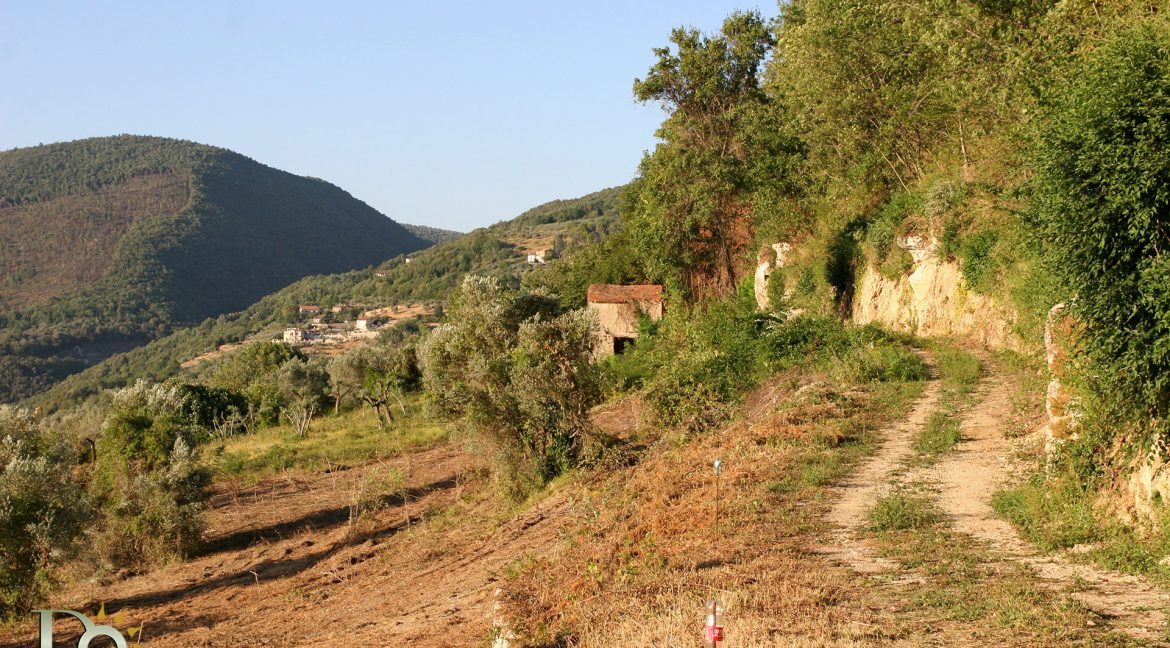 Casaletto-Vigne-Santi_013