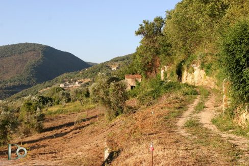 Casaletto-Vigne-Santi_013