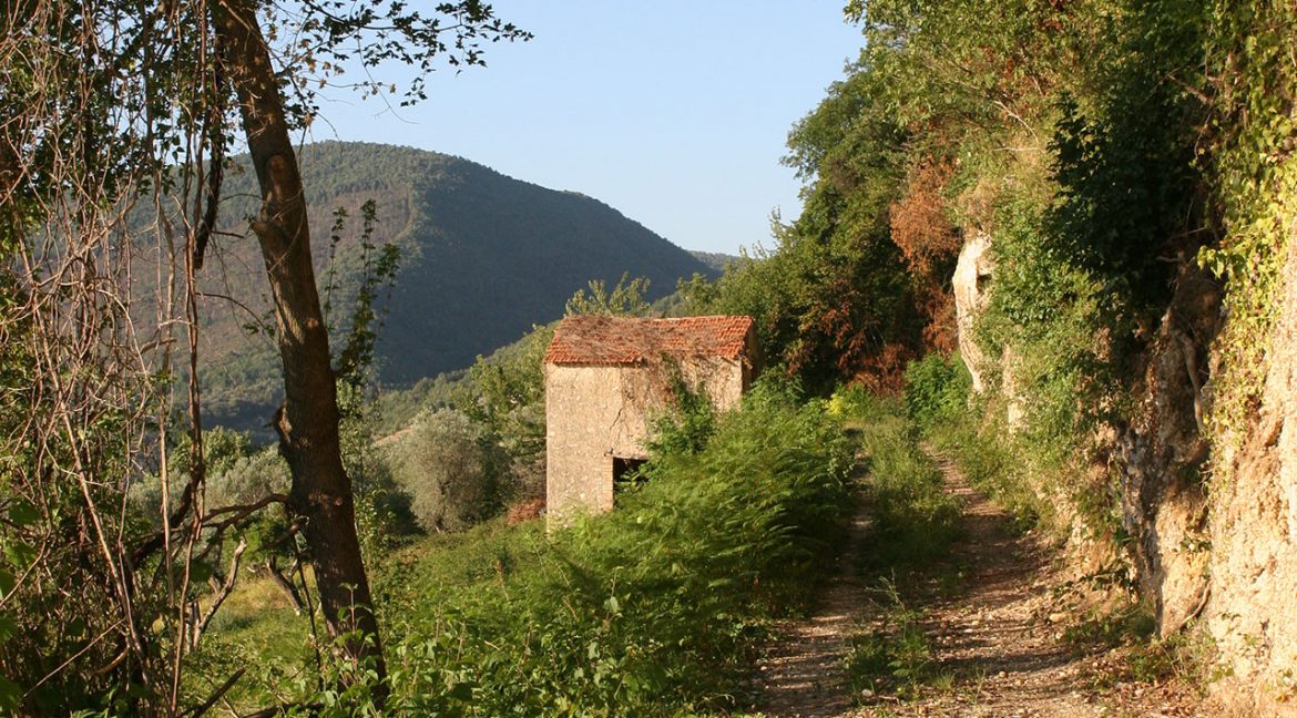 Casaletto-Vigne-Santi_014