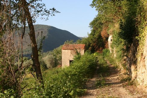 Casaletto-Vigne-Santi_014