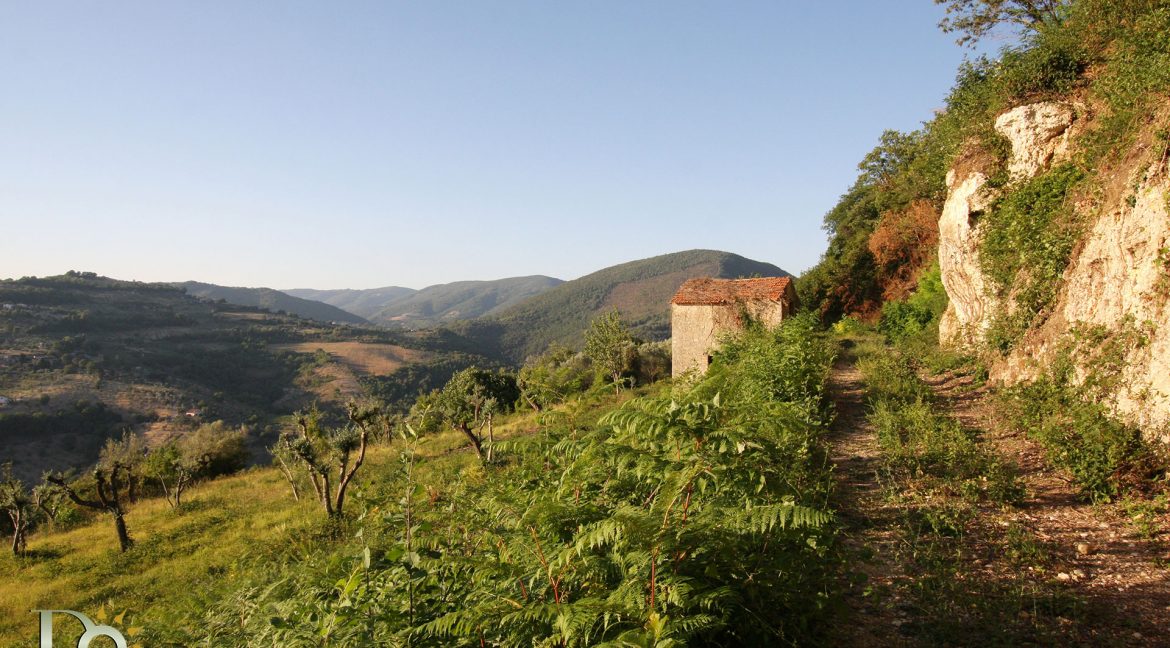 Casaletto-Vigne-Santi_015