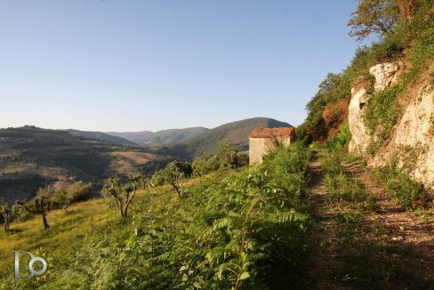 Casaletto-Vigne-Santi_015