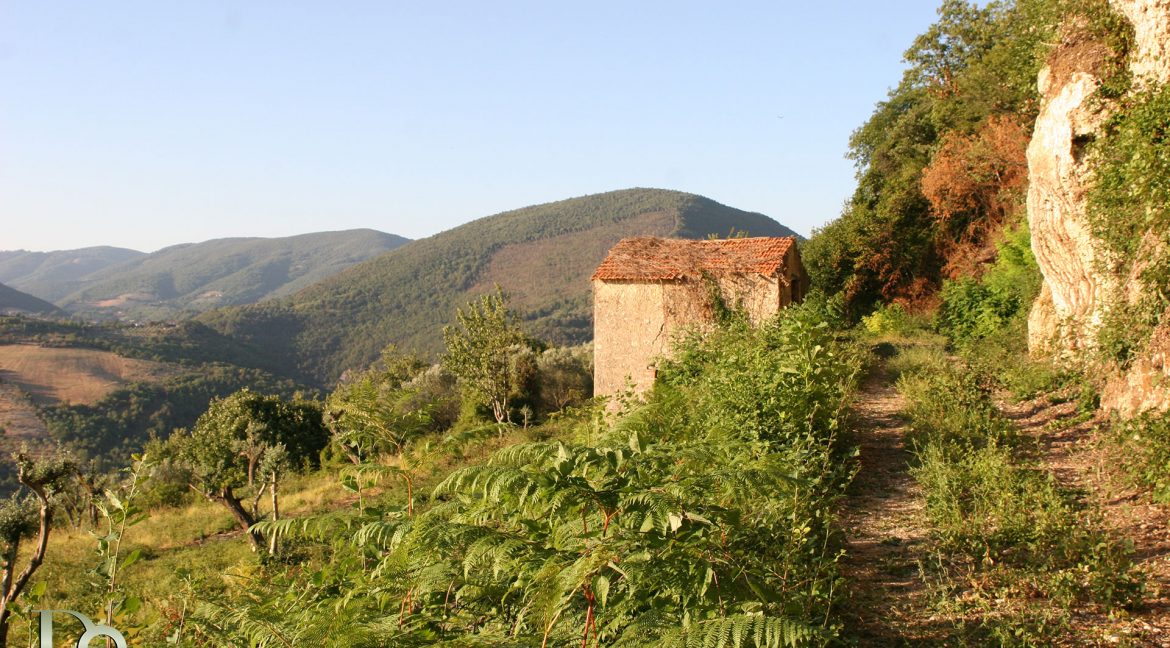 Casaletto-Vigne-Santi_016