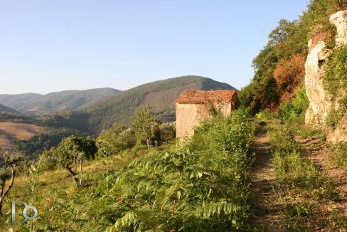 Casaletto-Vigne-Santi_016