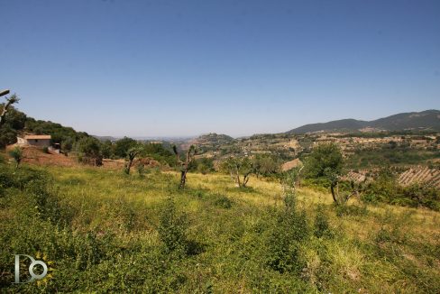 Casaletto-Vigne-Santi_017