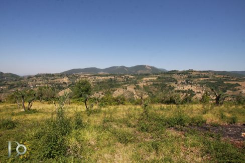 Casaletto-Vigne-Santi_018