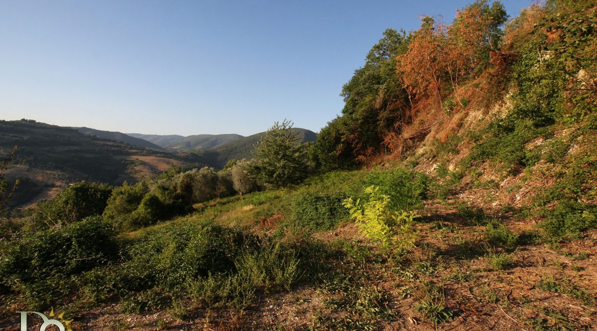 Casaletto-Vigne-Santi_020