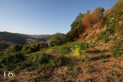 Casaletto-Vigne-Santi_020