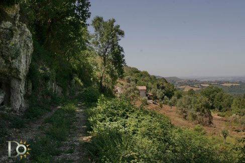 Casaletto-Vigne-Santi_021