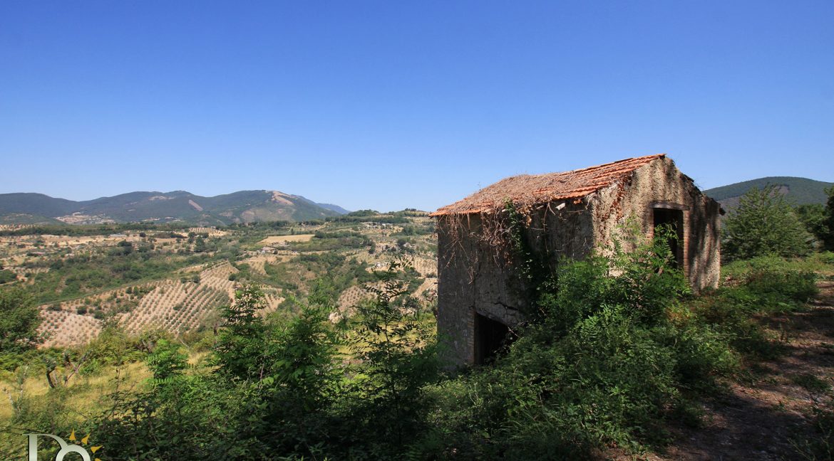 Casaletto-Vigne-Santi_022