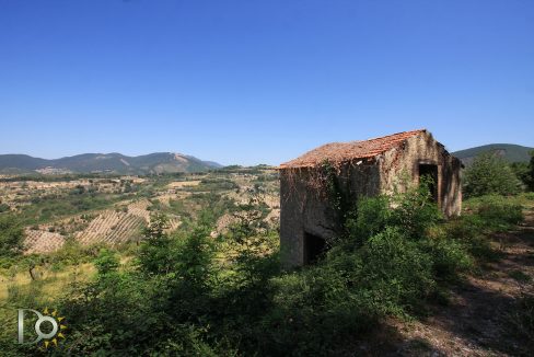 Casaletto-Vigne-Santi_022