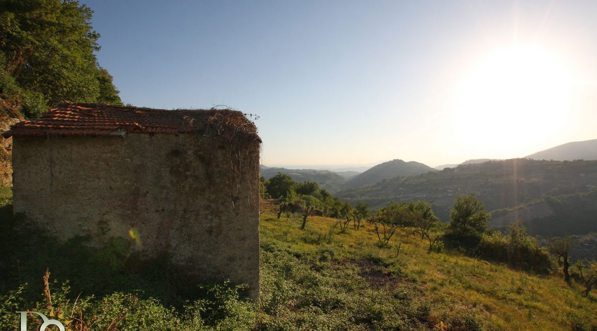 Casaletto-Vigne-Santi_024