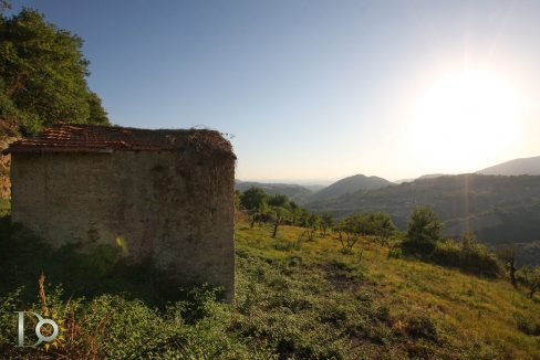 Casaletto-Vigne-Santi_024