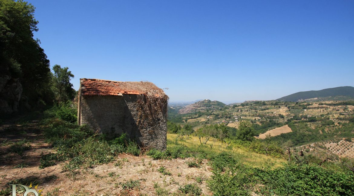 Casaletto-Vigne-Santi_025