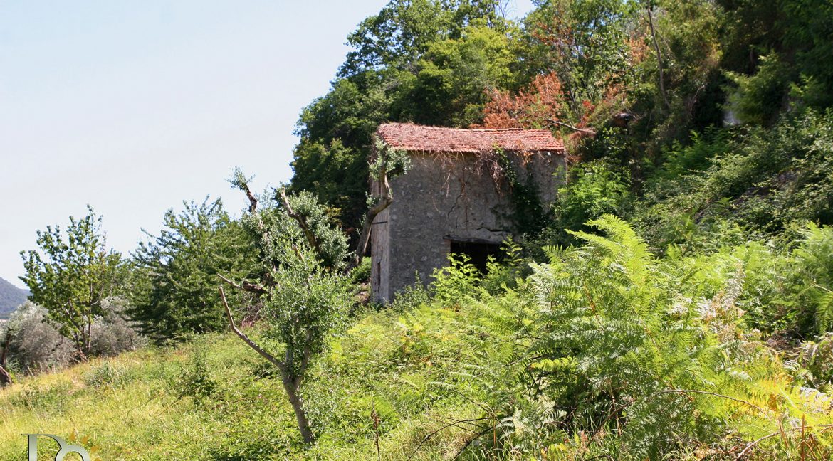 Casaletto-Vigne-Santi_026