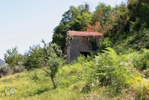 Casaletto-Vigne-Santi_026