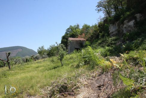 Casaletto-Vigne-Santi_027