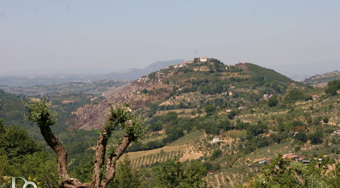 Casaletto-Vigne-Santi_031