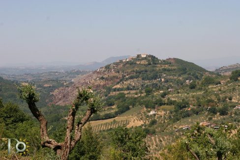 Casaletto-Vigne-Santi_031