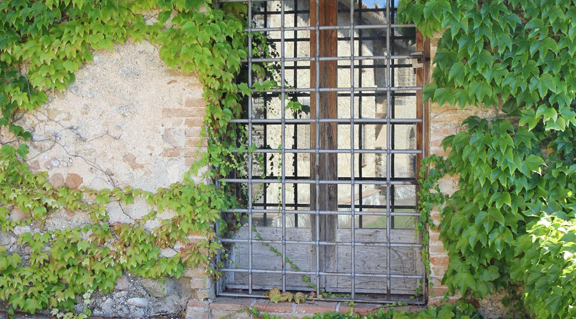 18_Tenuta Pontorio