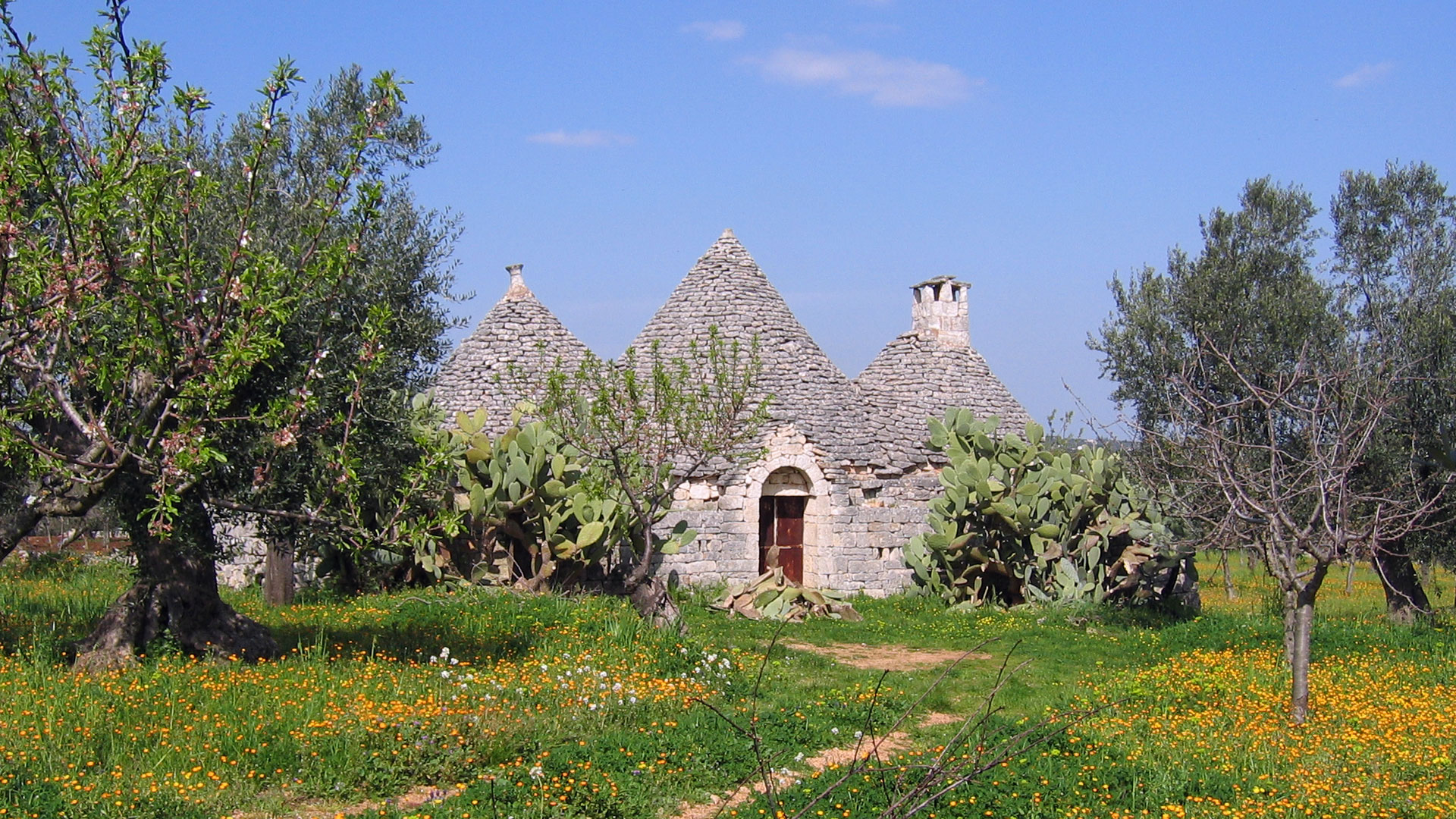 dionisi-selling-trulli-and-farmhouse-in-Apulia