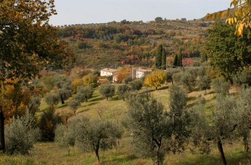 dionisi-immobliare-real-estate-italia-centrale