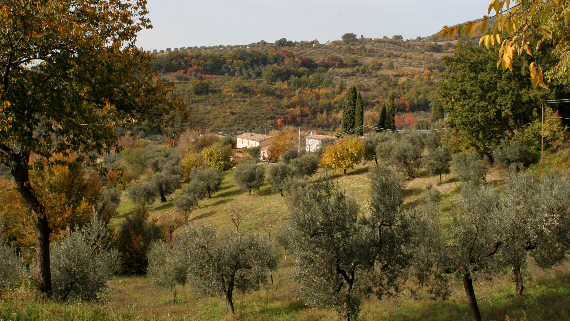 dionisi-immobliare-real-estate-italia-centrale