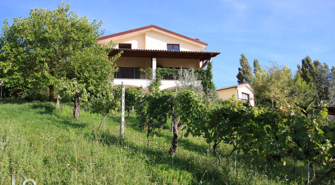 Casale_della_Lavandara_02