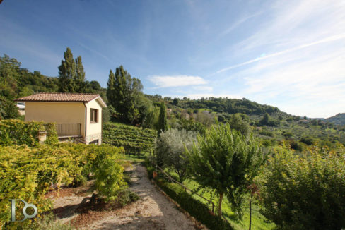 Casale_della_Lavandara_05