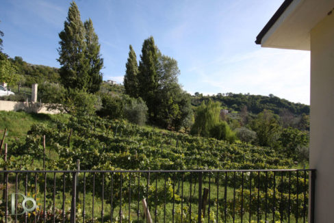 Casale_della_Lavandara_42