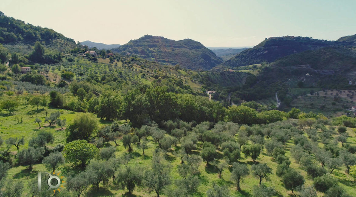 Casale_della_Lavandara_47