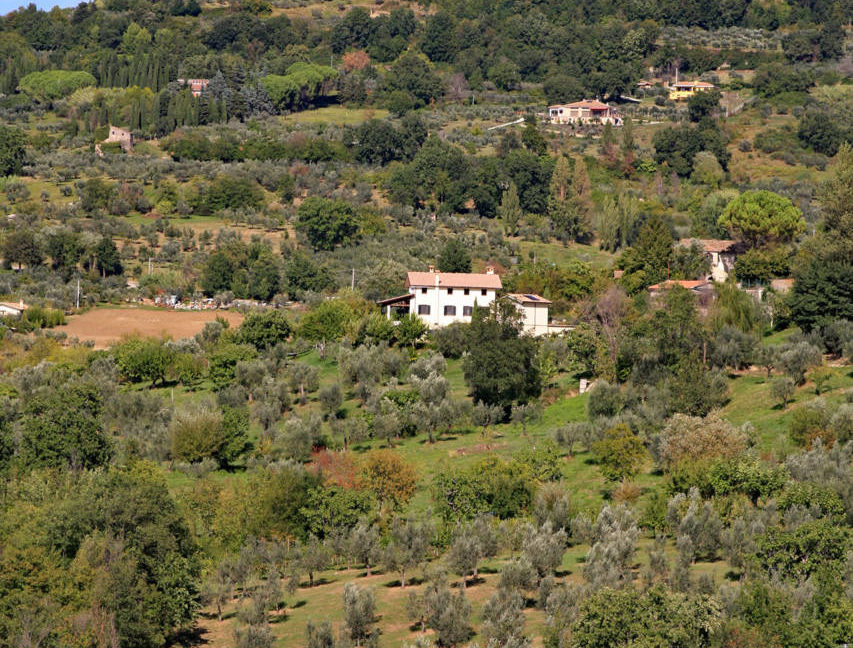 Casale_della_Lavandara_48