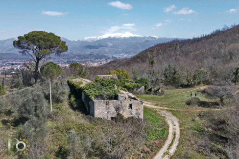 selvapiana-rieti-casale-azienda-agricola