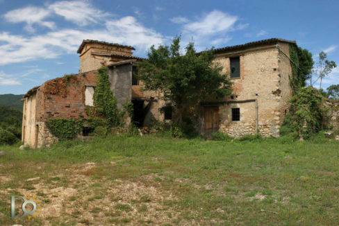 Tenuta-Selvapiana_24