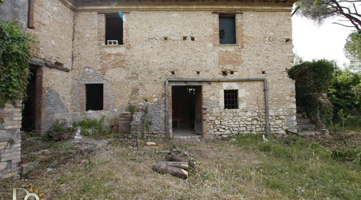 Tenuta-Selvapiana_25