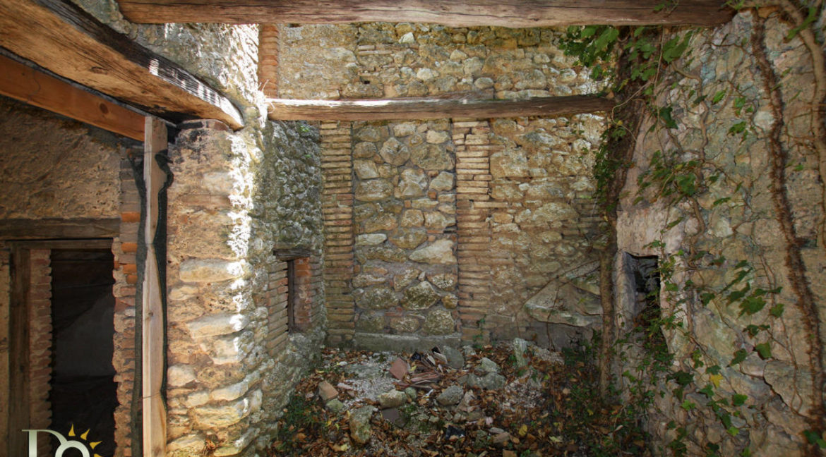 Tenuta-Selvapiana_38