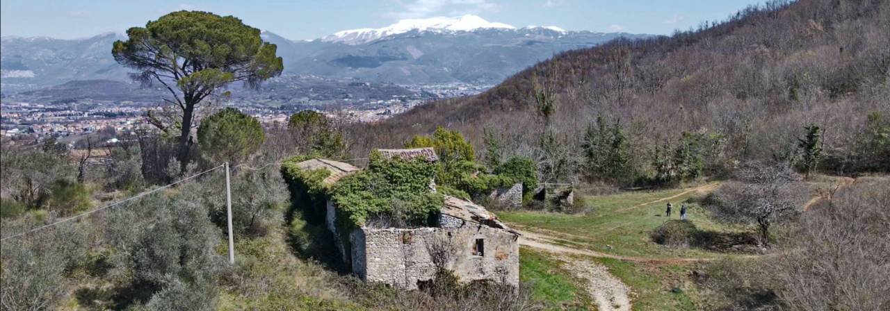 Selvapiana