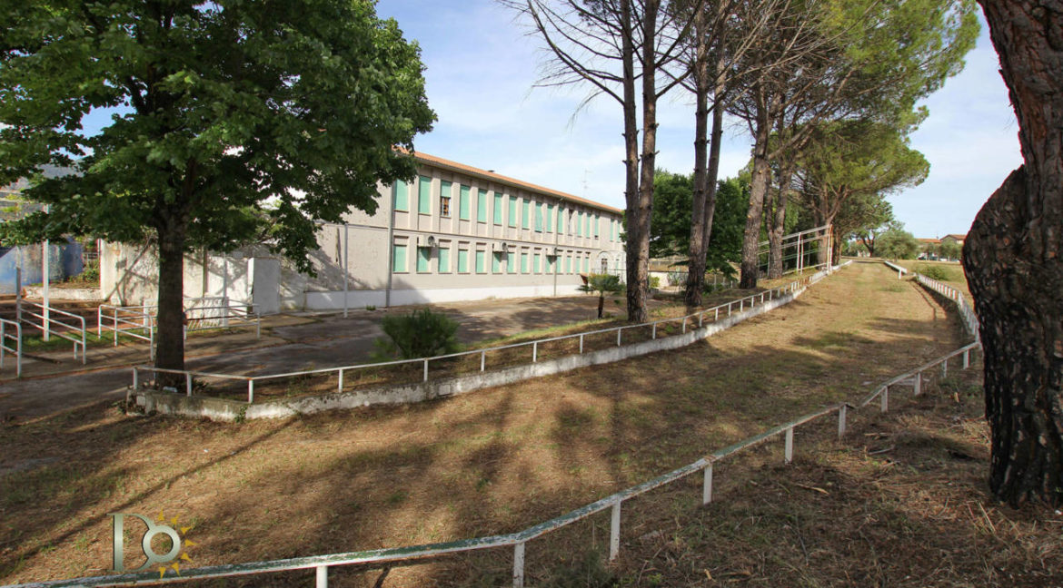 Colleluna10