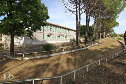 Colleluna10