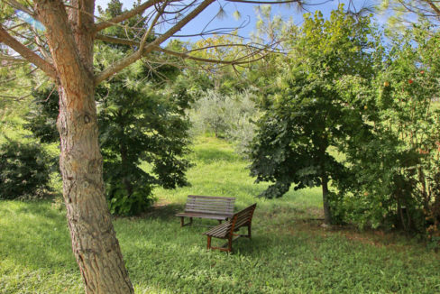 Casa-Gialla_46